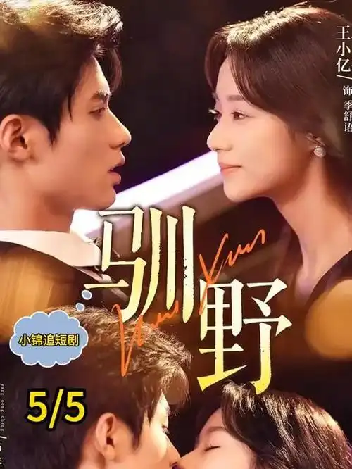 年度标本榜第三位《雾港纪事》缩略图